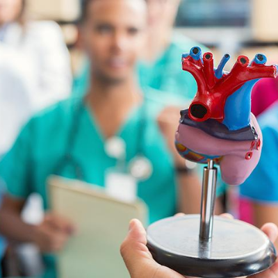 Diploma in Cardiology Online